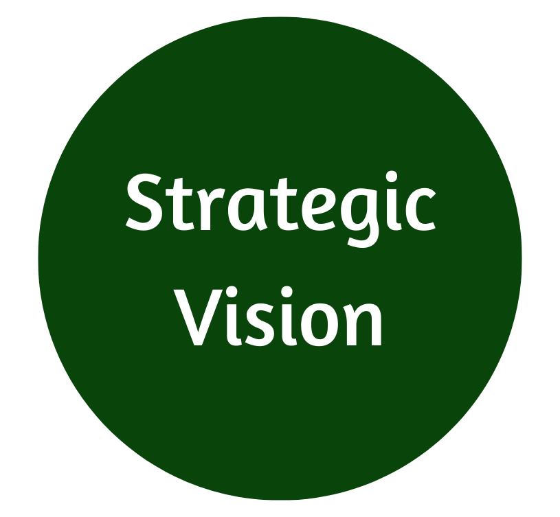 Strategic Vision Homepage