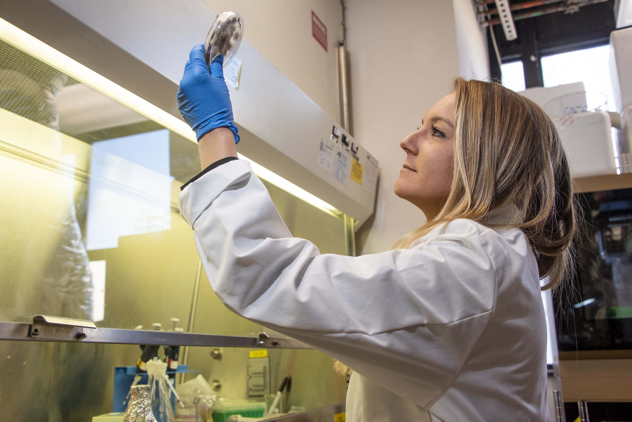 A person in a lab wearing protective attire and holding a sample up to the light next to a fume hood