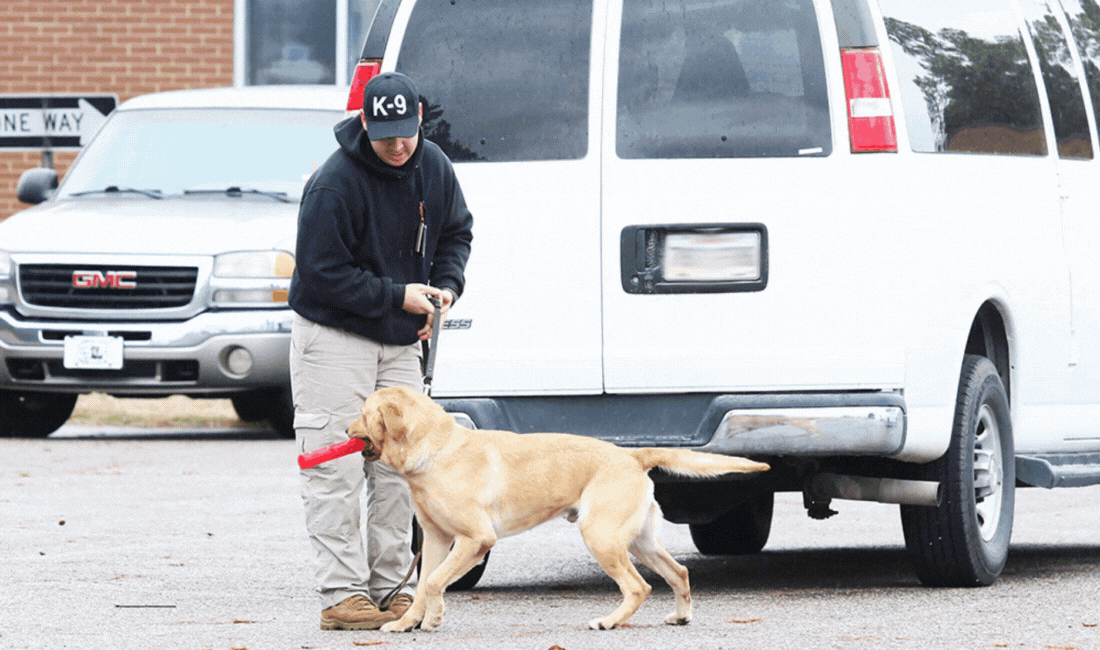 Security Police Officer Cody Burger and canine Tarzan conduct an explosives search on a vehicle at the United States Police Canine Association Region 2 Spring Detection Trials.