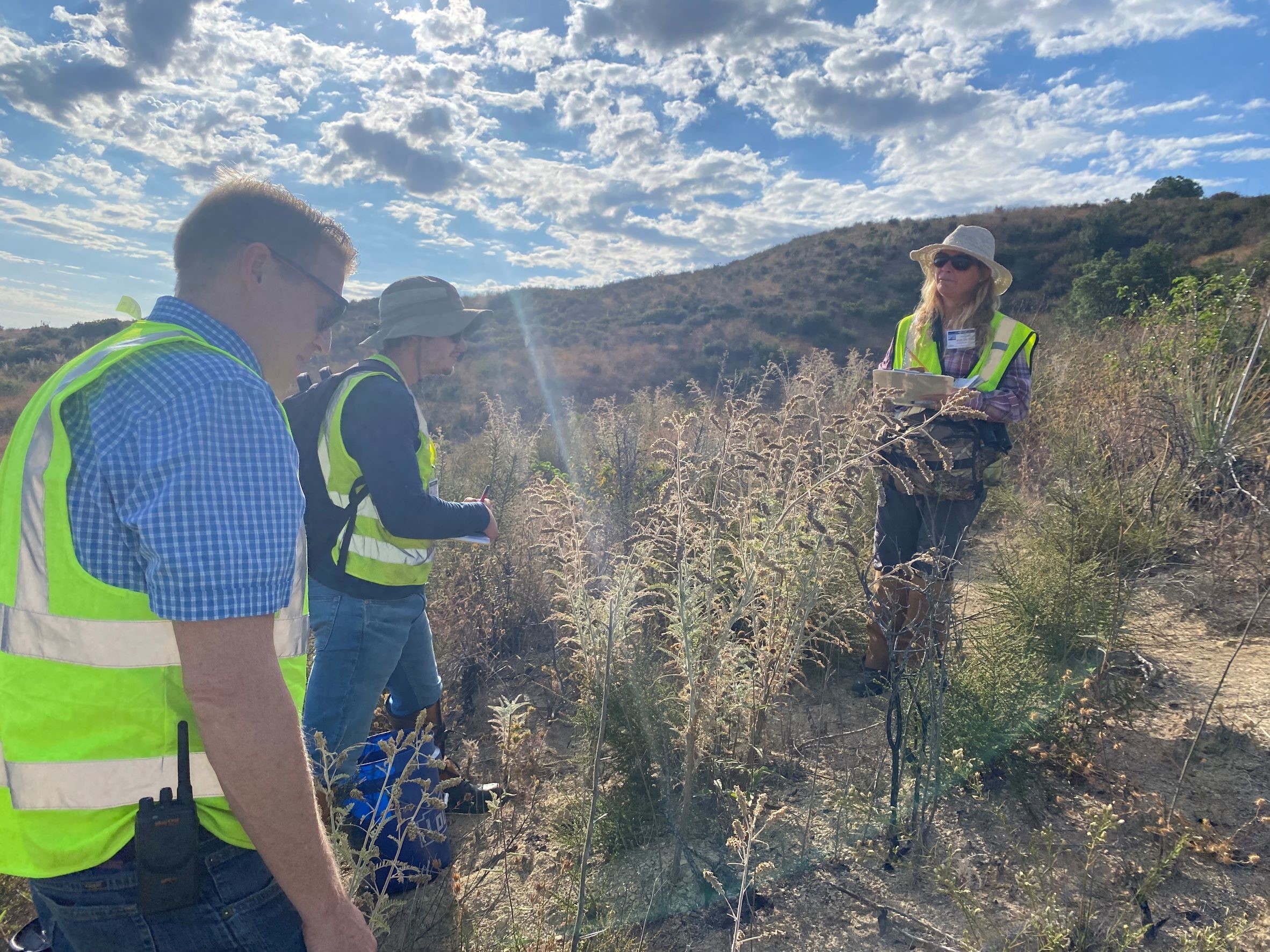 US Fish and Wildlife observing milk vetch at ETEC