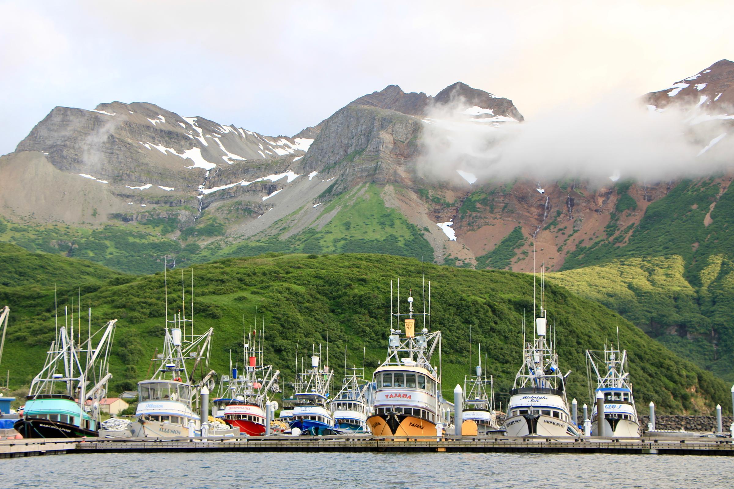 Seine boats in Chignik harbor