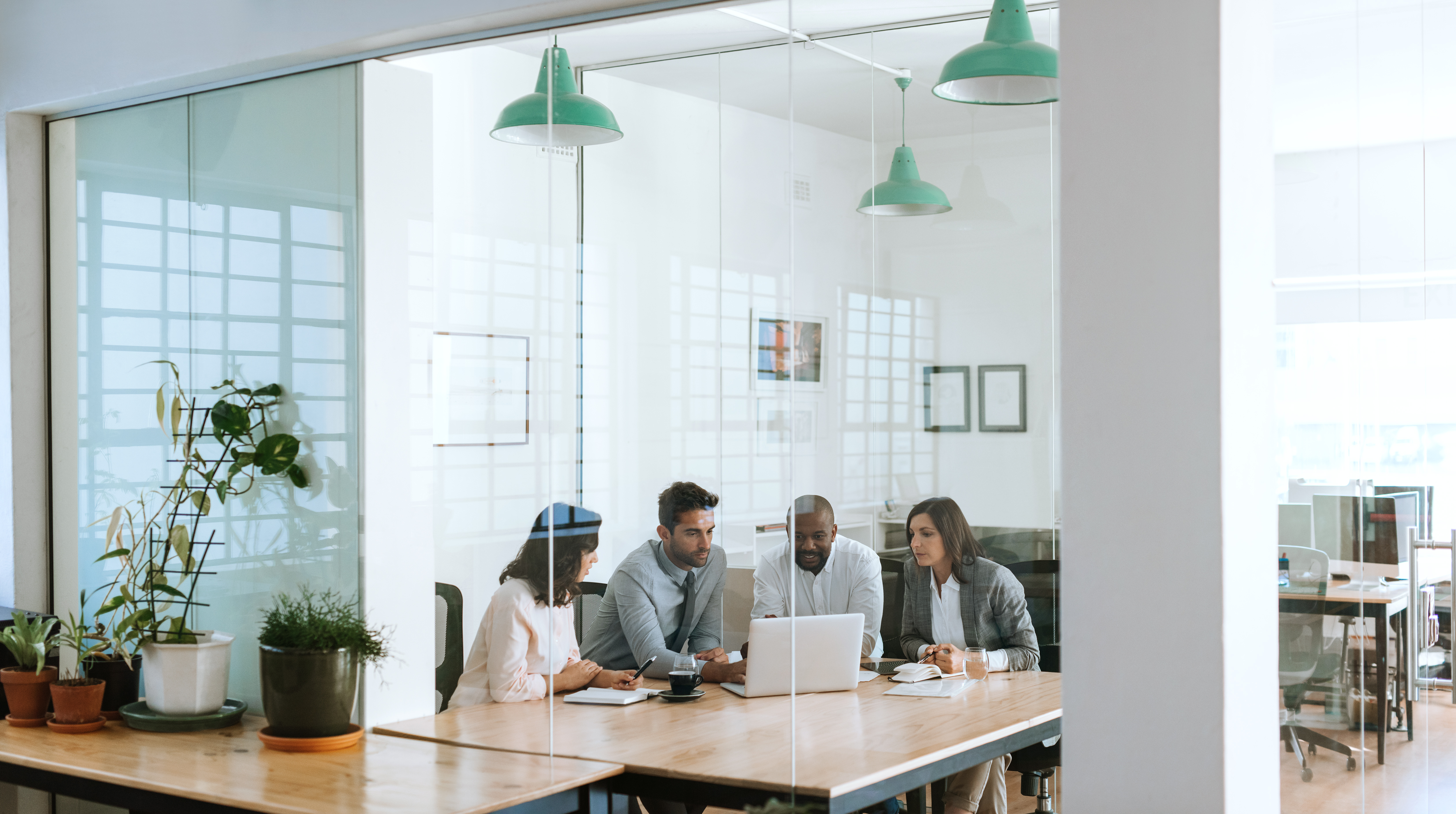 Picture of staff in office looking at laptop