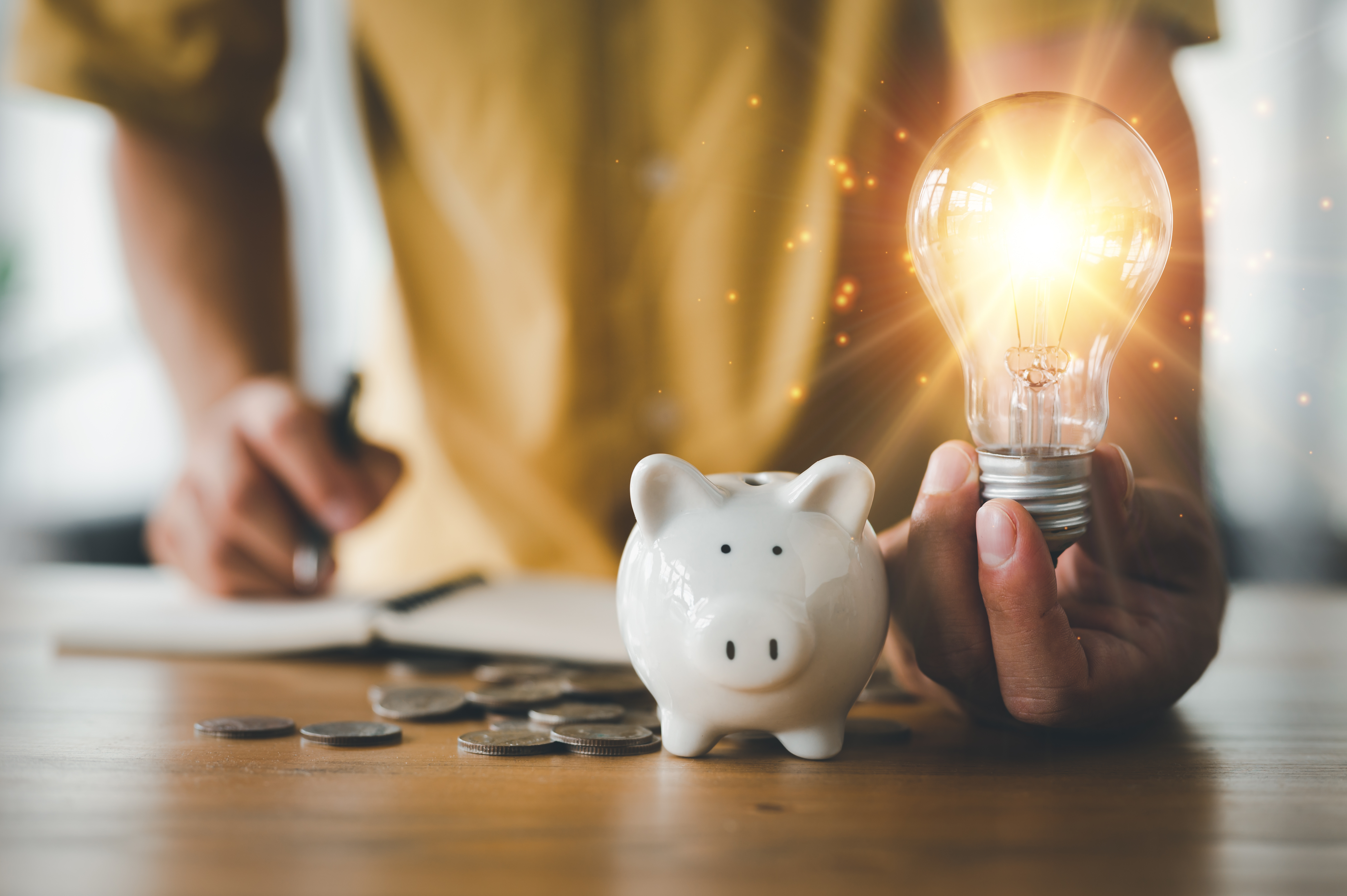 Image of piggy bank with coins and lightbulb