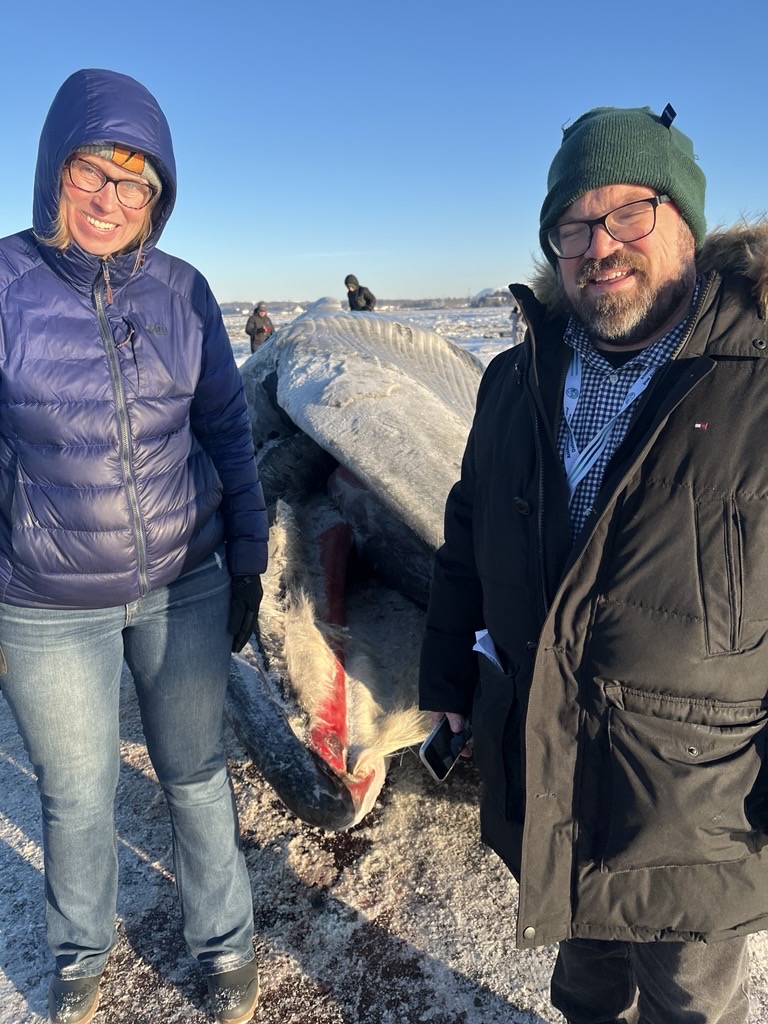 Director Erin Whitney and Senior Advisor Mike McEleney visited an adolescent fin whale that washed up on the mudflats near Westchester Lagoon in Anchorage, where locals, scientists, and tourists have been stopping by to visit a whale up close.