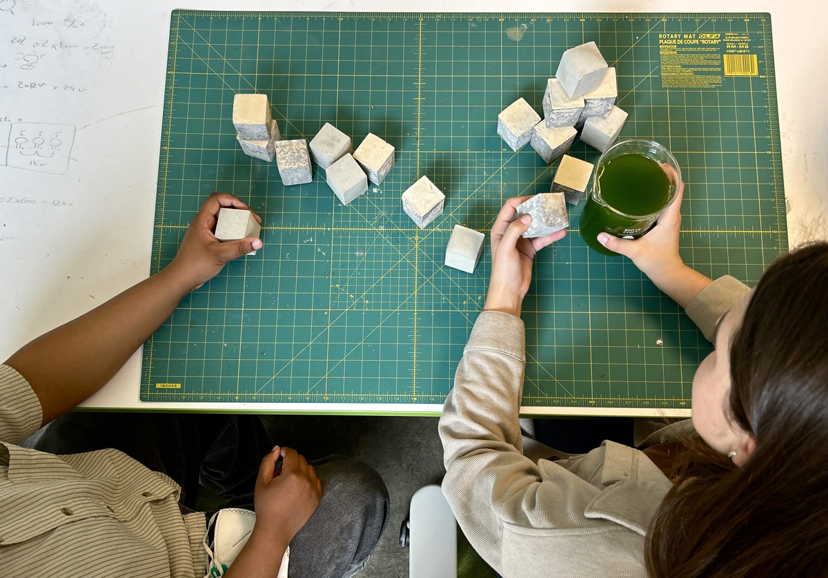 An overhead photo of two people holding cubes of algae-based cement and concrete.