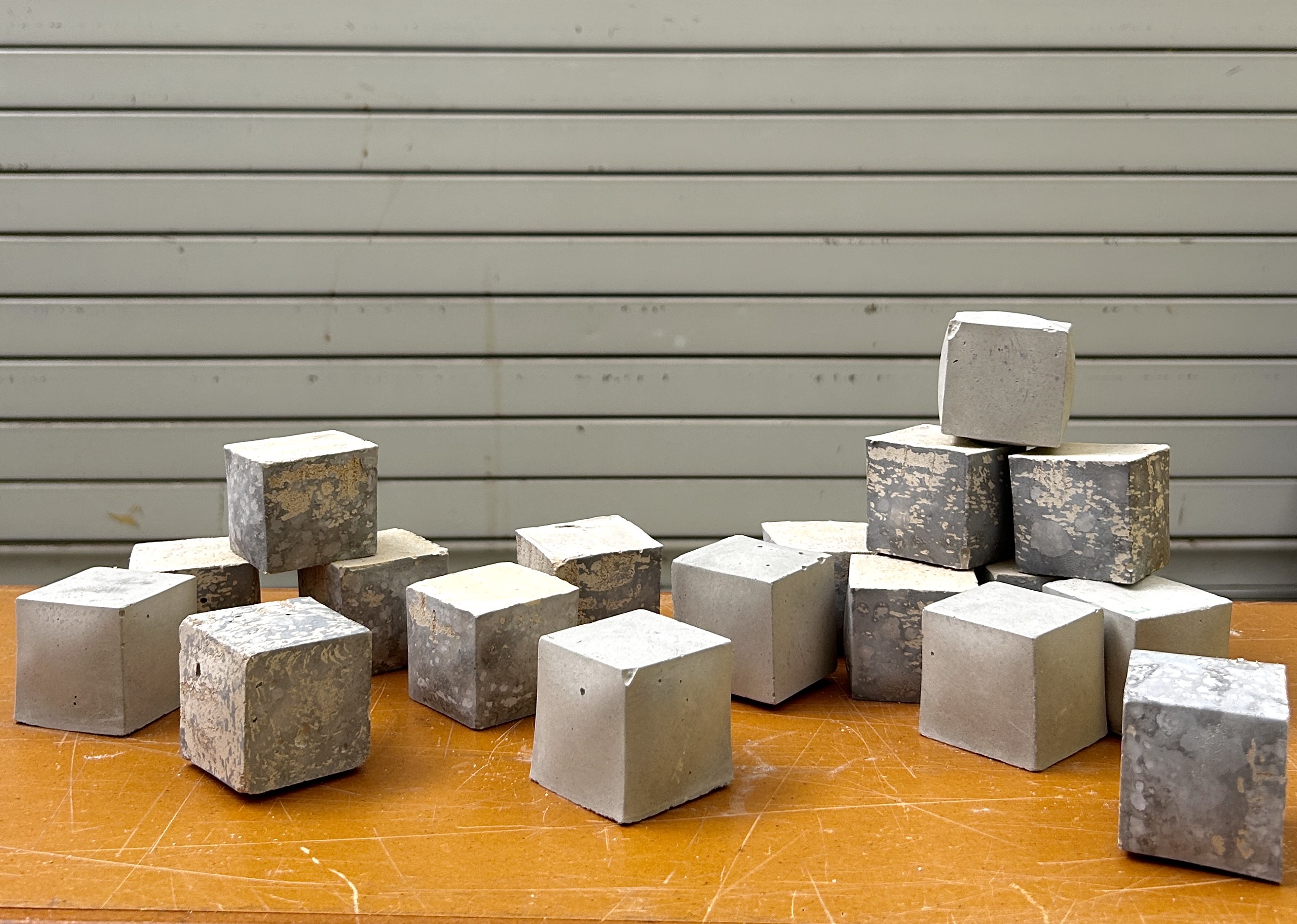 A collection of the algae-concrete sample blocks.