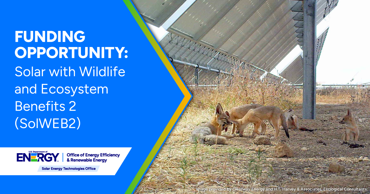 To the right, a photo shows five foxes resting in the shade of solar panels with text to the left: Funding Opportunity Solar Wildlife and Ecosystem Benefits 2