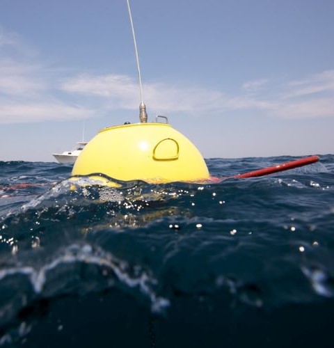 Closeup image of a circular floating marine energy device in the ocean taken from surface level 