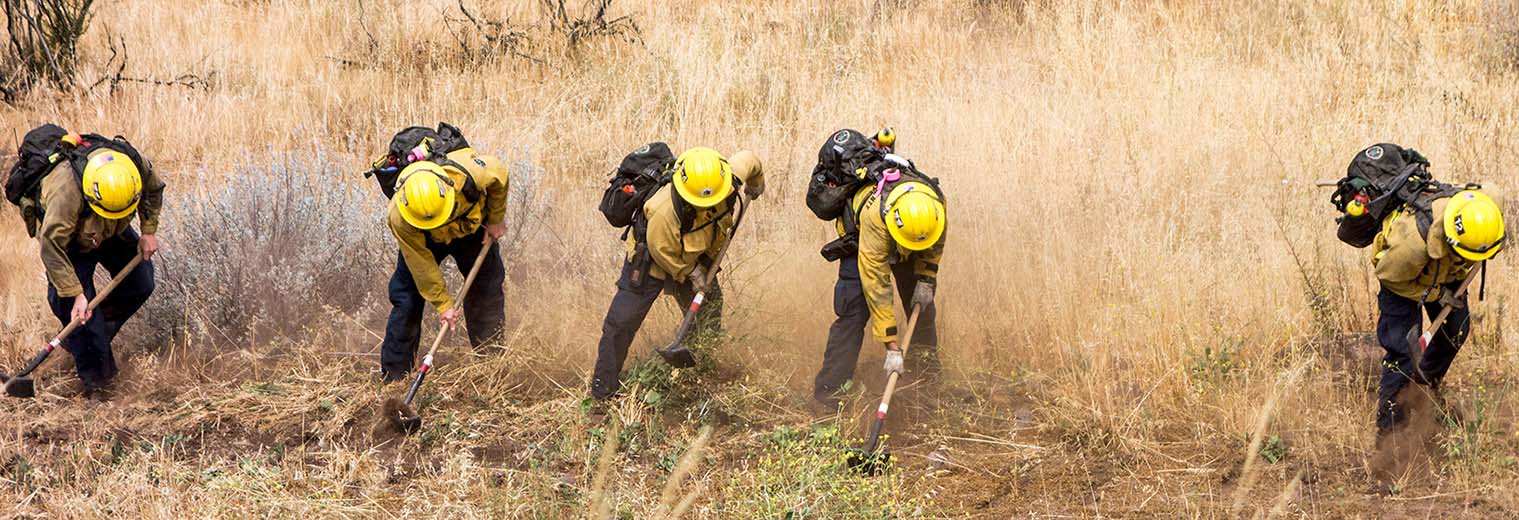 Five firefighters work to cut dry vegetation in a field. 