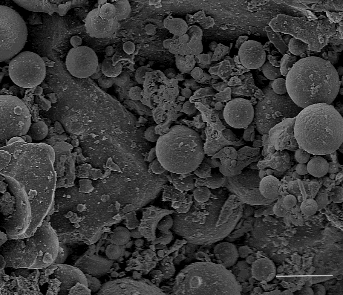 Scanning Electron Microscope photomicrograph image of a geologic sample containing unconventional rare earth elements