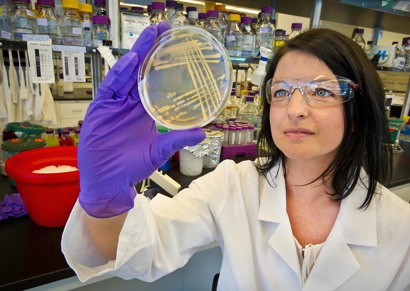 a person wearing a lab coat looking at a petri dish