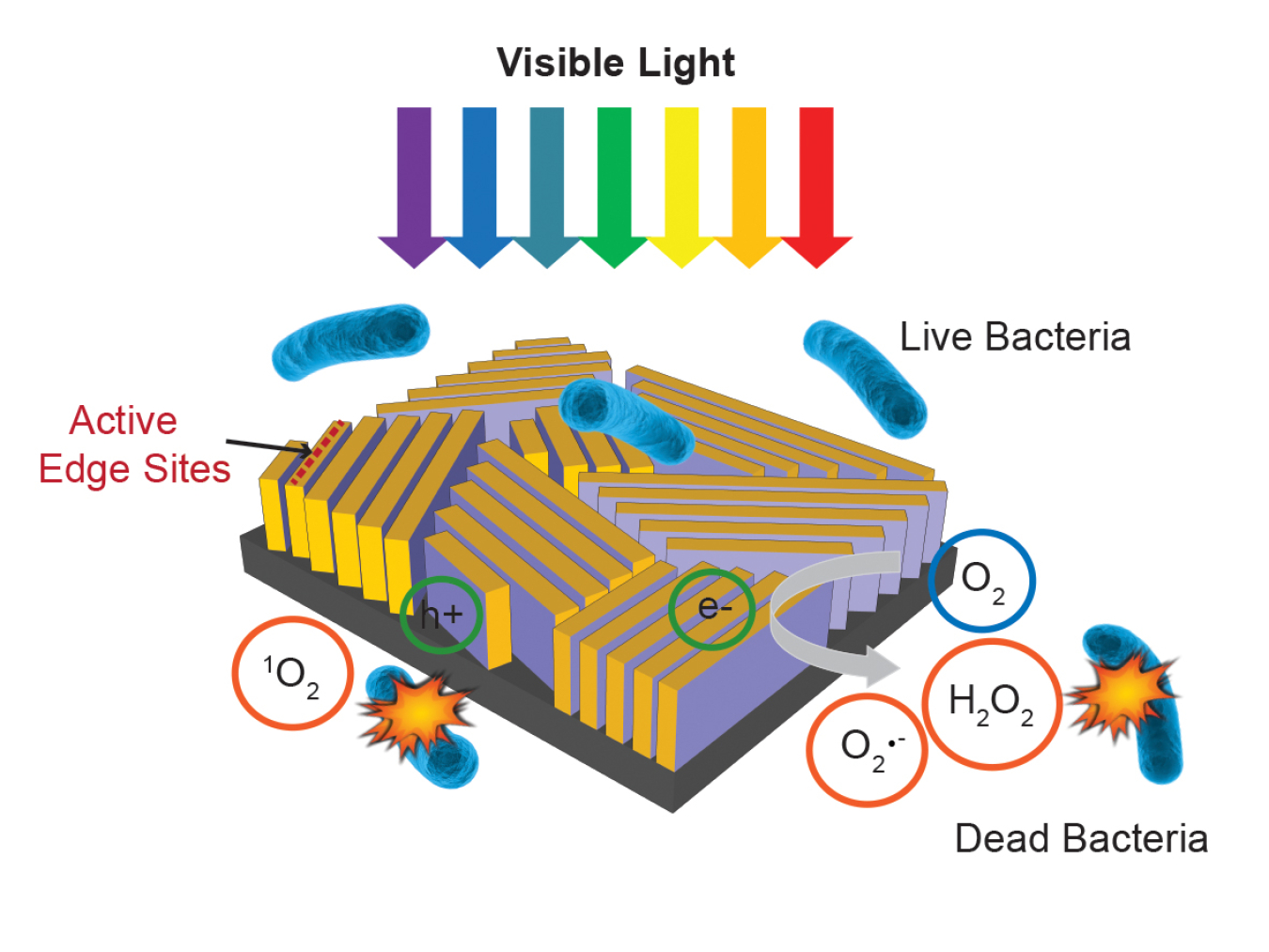 081516 SLAC Diagram.jpg