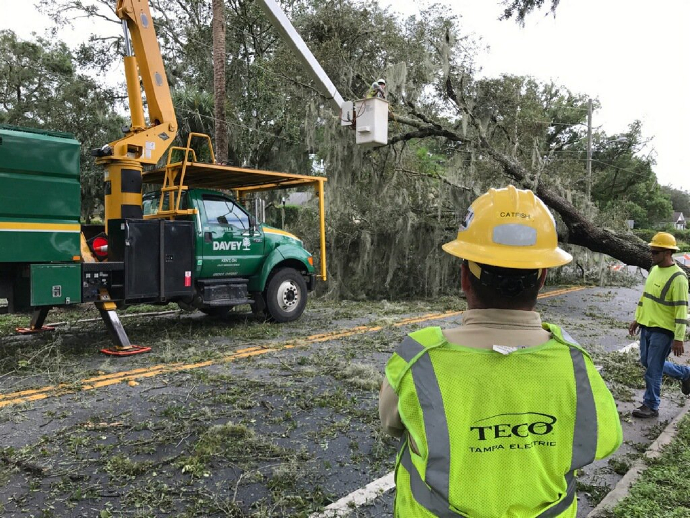 Tampa Electric Co. workers remove downed trees in the wake of Hurricane Irma.