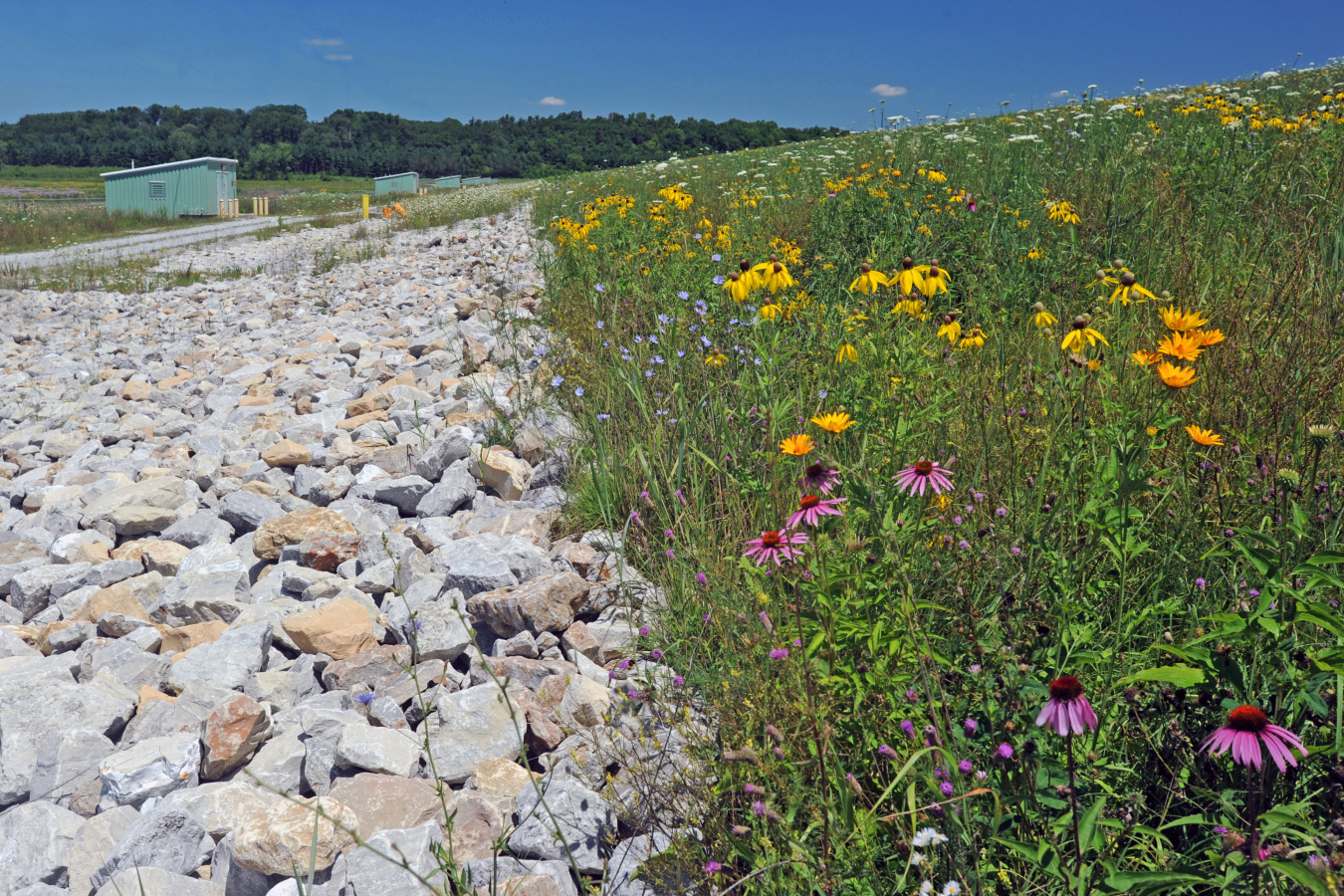 On-Site Disposal Facility valve houses seen behind restored habitat at the Fernald Preserve.