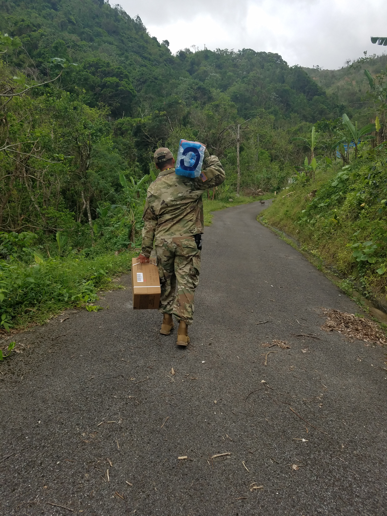 Q&A with Virginia Castro: DOE Mission to Puerto Rico