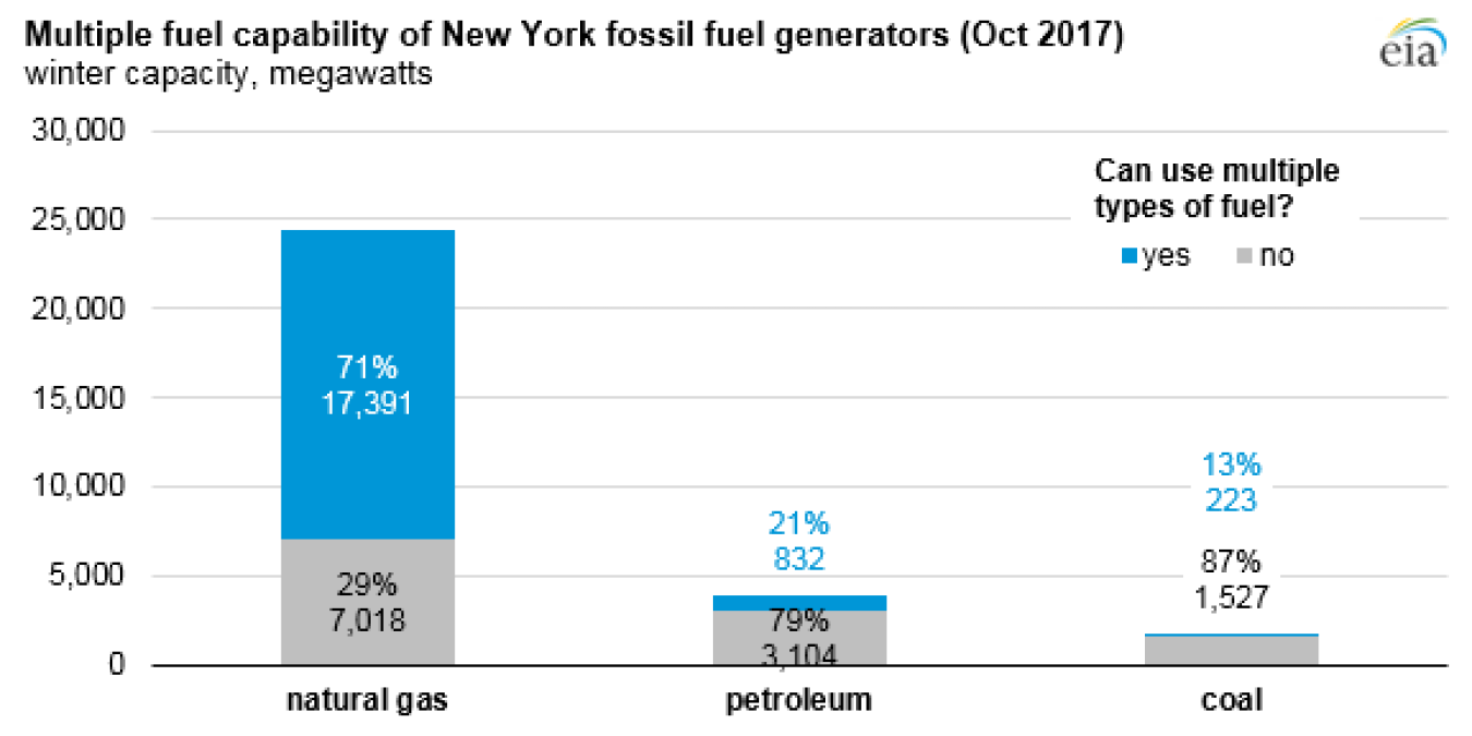 multiple fuel capability of new york fossil fuel generators 