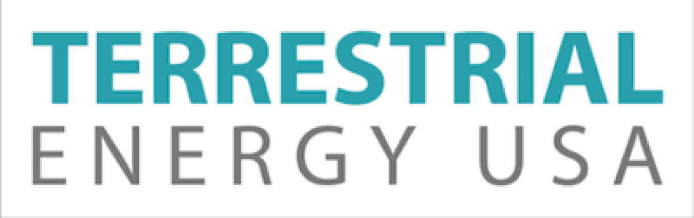 Terrestrial Energy USA Logo