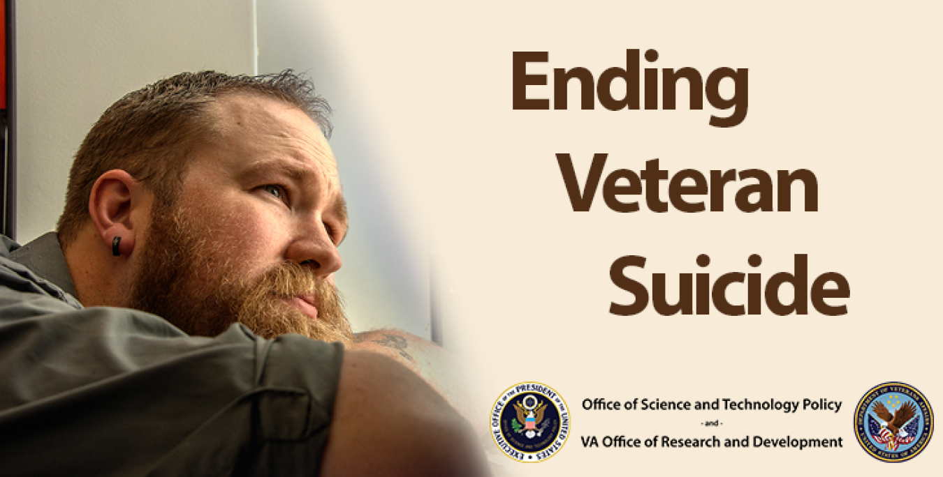 National Roadmap to Empower Veterans and End Suicide