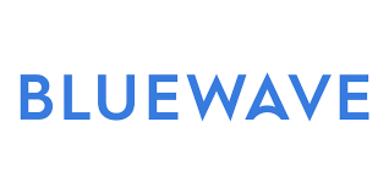 Blue Wave Capital and Consulting, DBA Blue Wave AI Labs Company LOGO