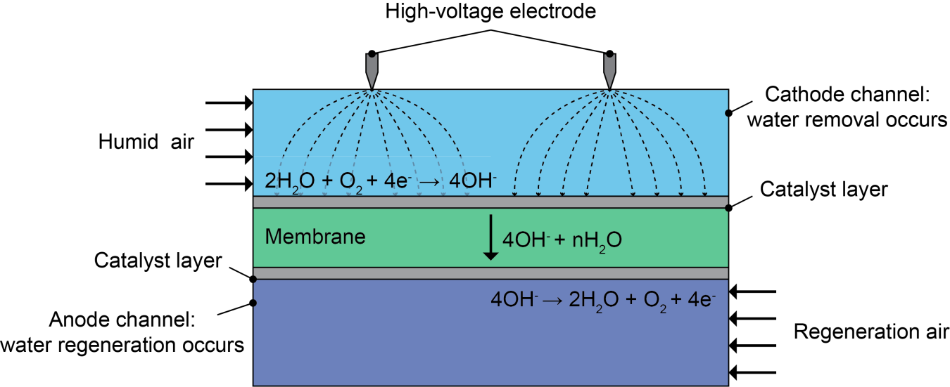 Diagram of various levels: Humid air on top, then catalyst layer, membrane, catalyst layer, and anode channel.