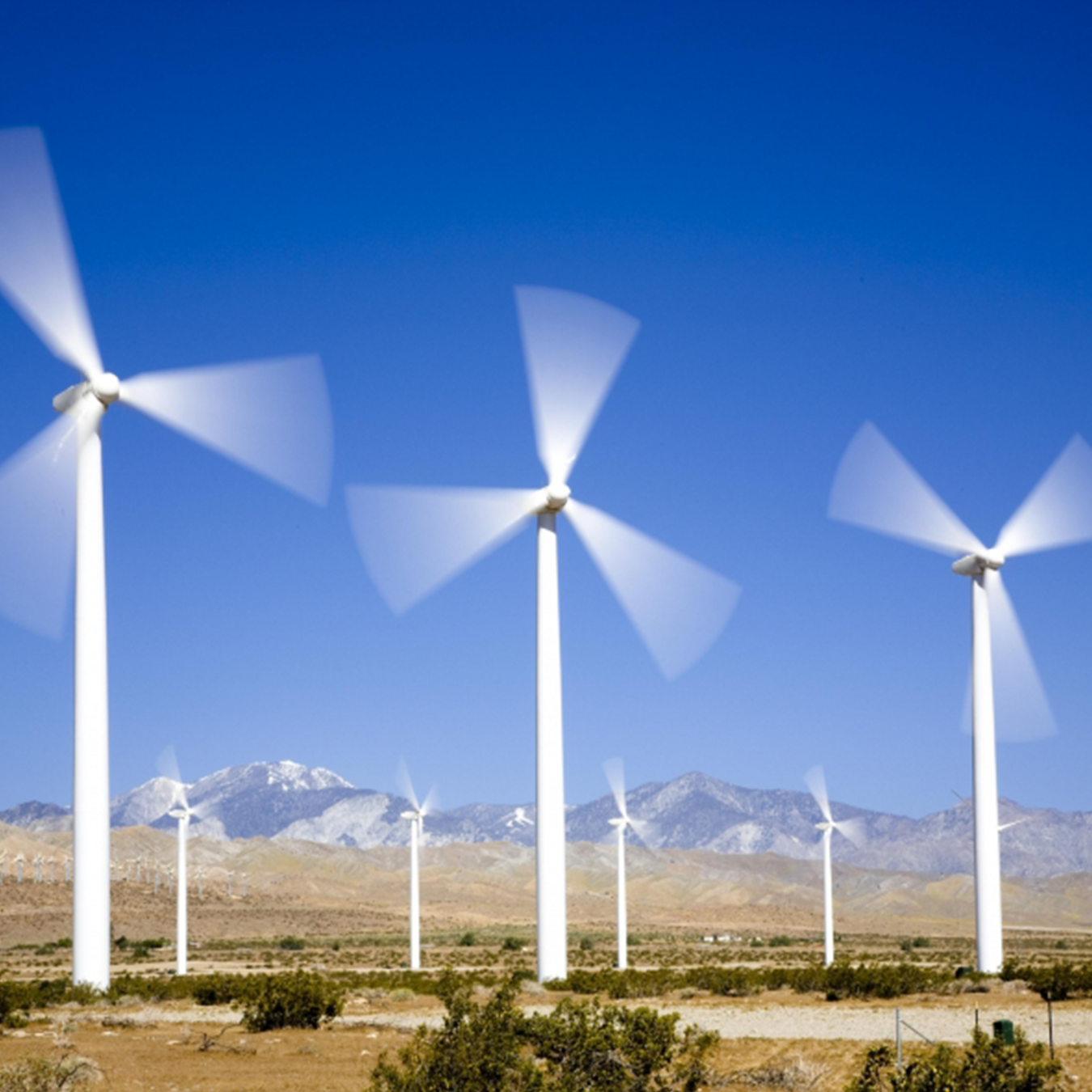 Wind farm against a clear blue sky.