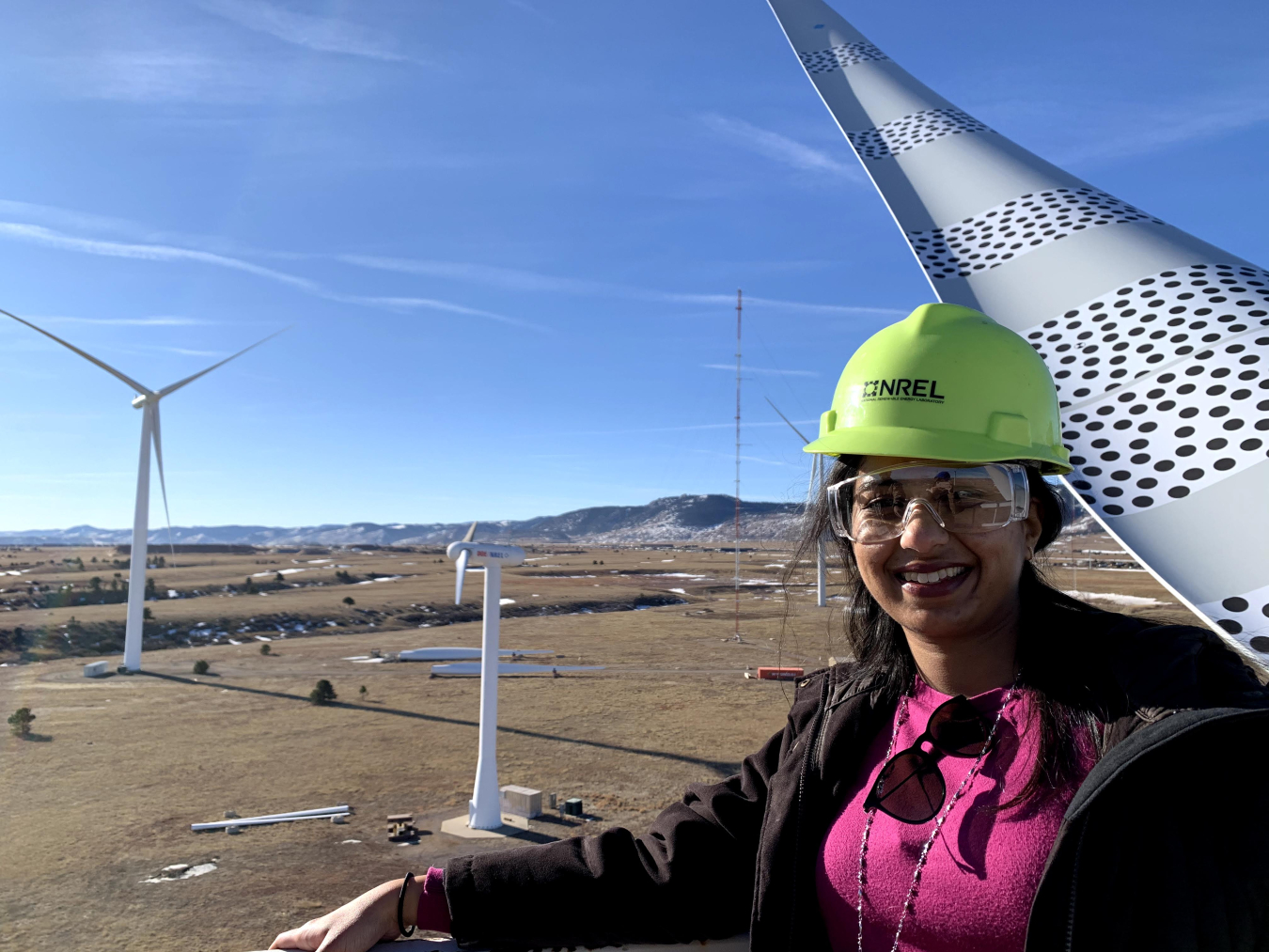 Rukmani Vijayaraghavan, AAAS Science & Technology Policy Fellow