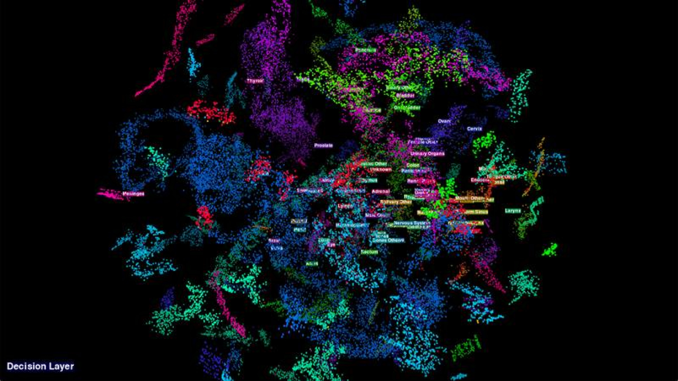 Visualization of how the research team’s multitask convolutional neural network classifies primary cancer sites.