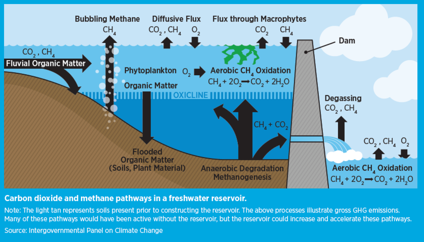 Illustration showing carbon dioxide and methane pathways in a freshwater reservoir.