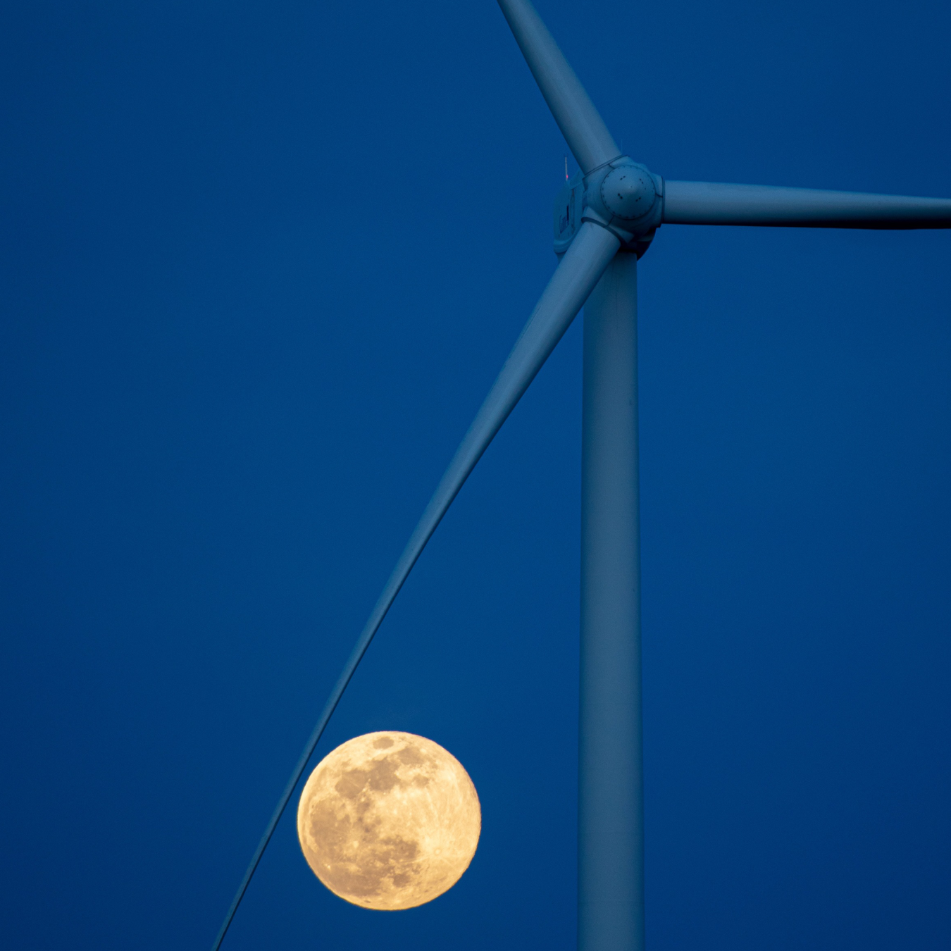 Wind turbine at night against the pink moon.