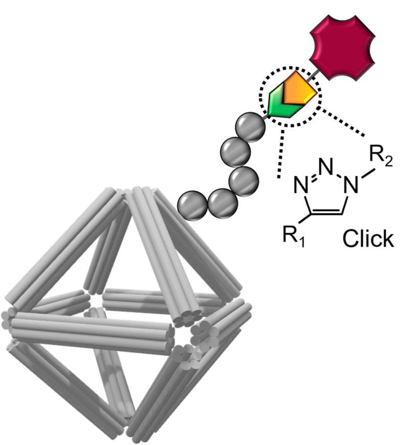 Schematic of a DNA origami equipped with imaging and cell-targeting capabilities. Click chemistry was used to conjugate functional molecules on the peptoid-coated origami surface.