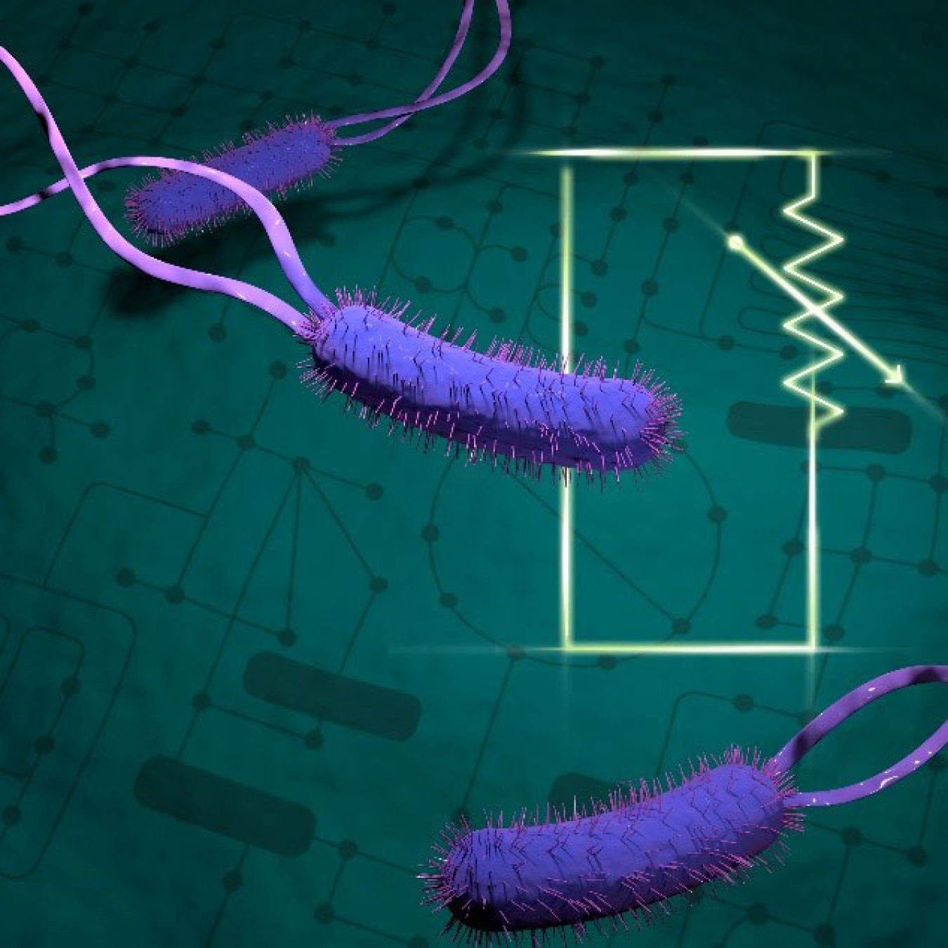 Control of biological processes is paramount for living systems to adapt, grow and flourish. New research demonstrates that the control of metabolism can be predicted from physical principles, providing new insights into biological processes.