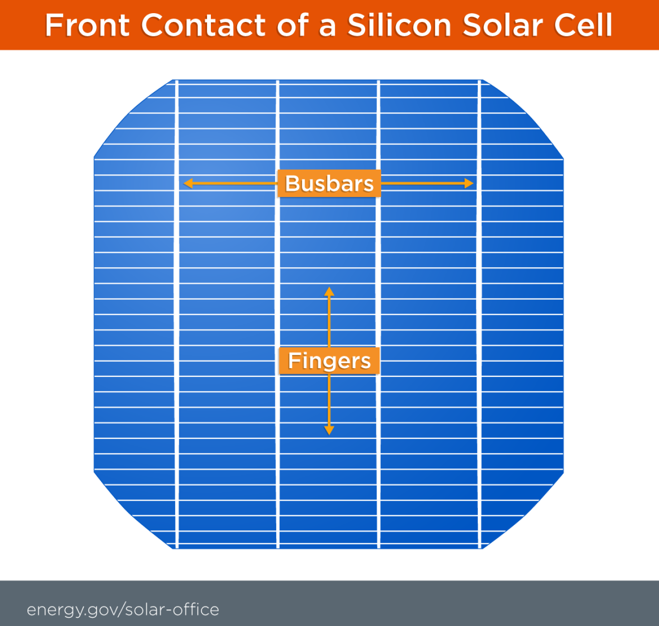 This image shows the anatomy of a solar cell, including the fingers and busbars.