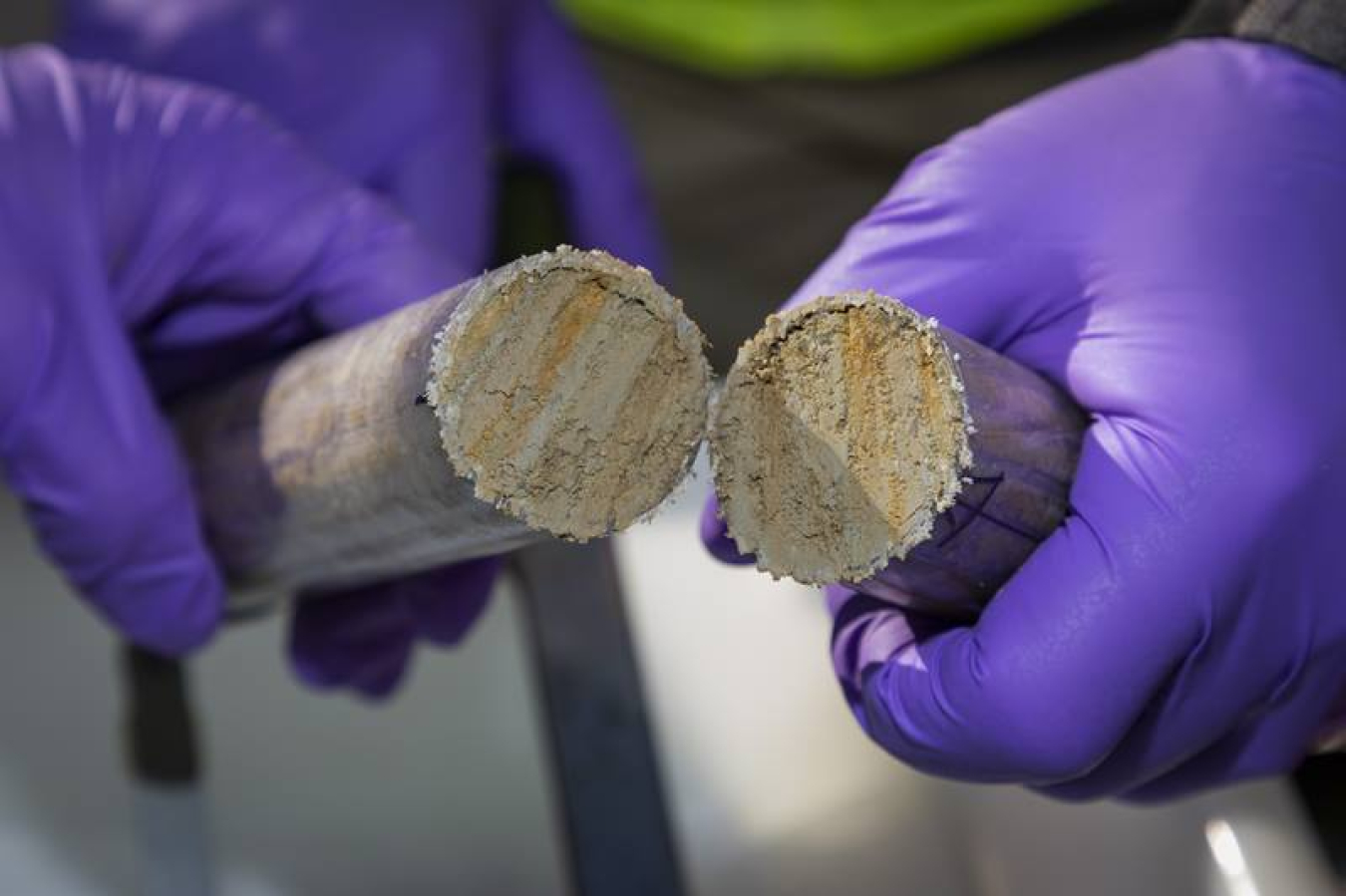 Sediment core extracted from the Oak Ridge Reservation site for chemical and biological analyses.