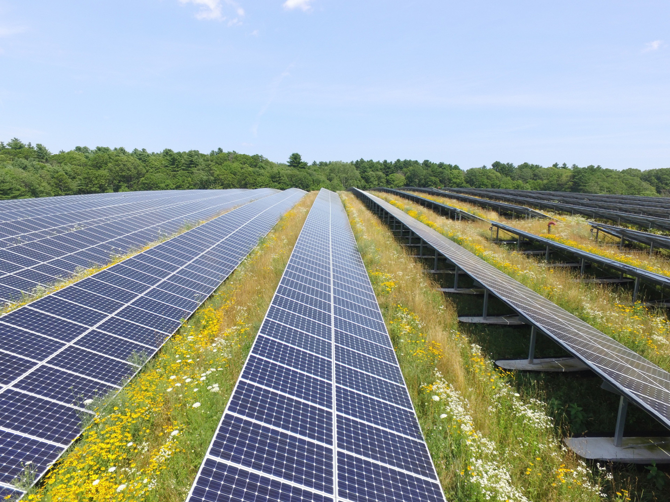 a solar array on a landfill in Massachusetts. 