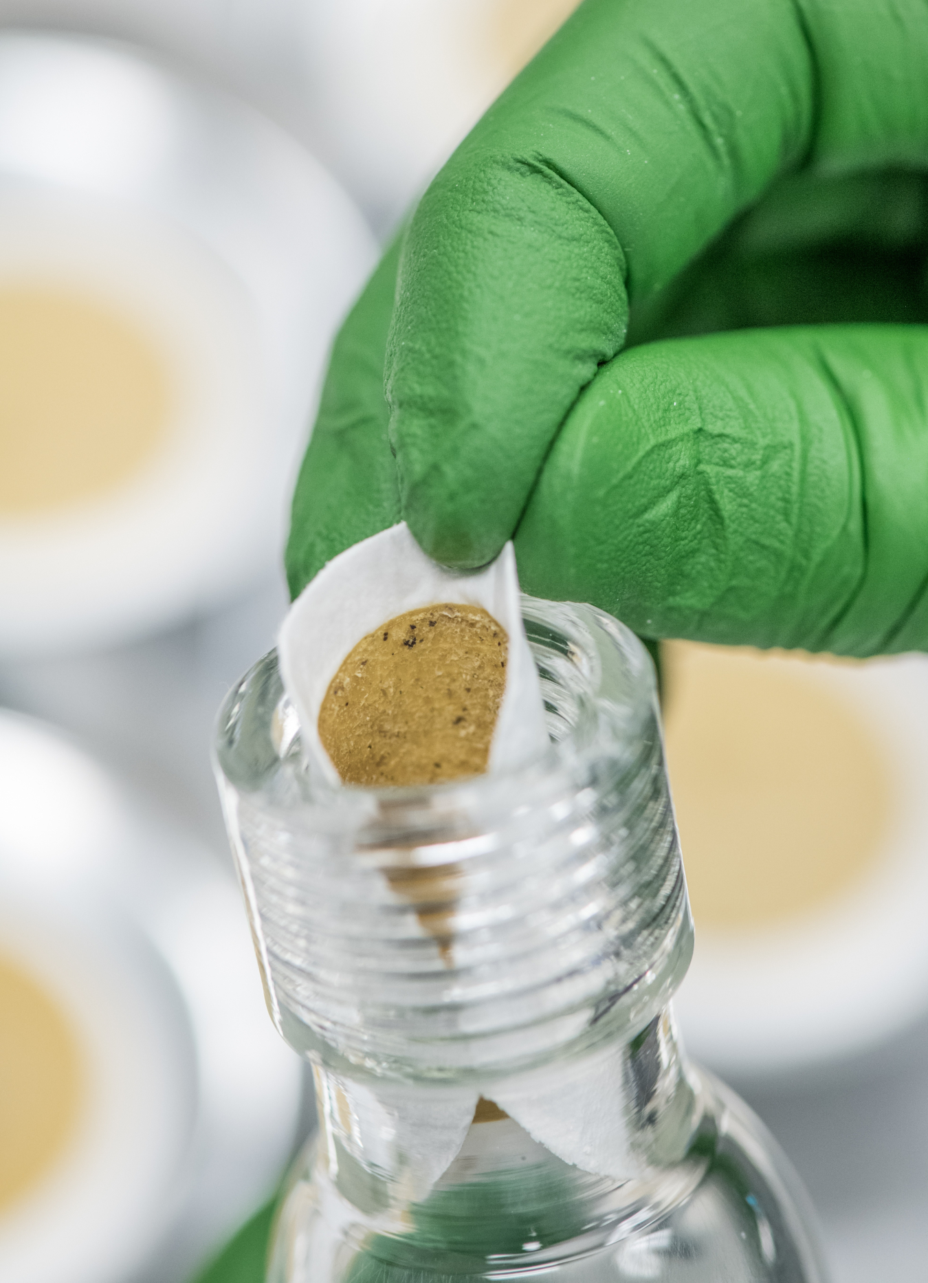 Green gloved hand is adding enzymes to a clear bottle.