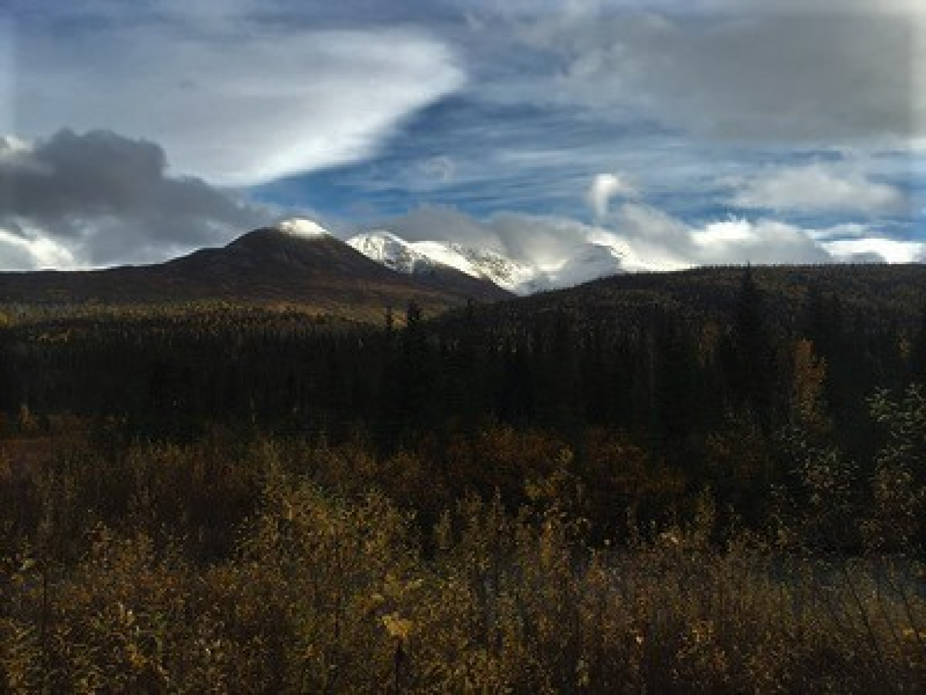 South Central Alaska Landscape