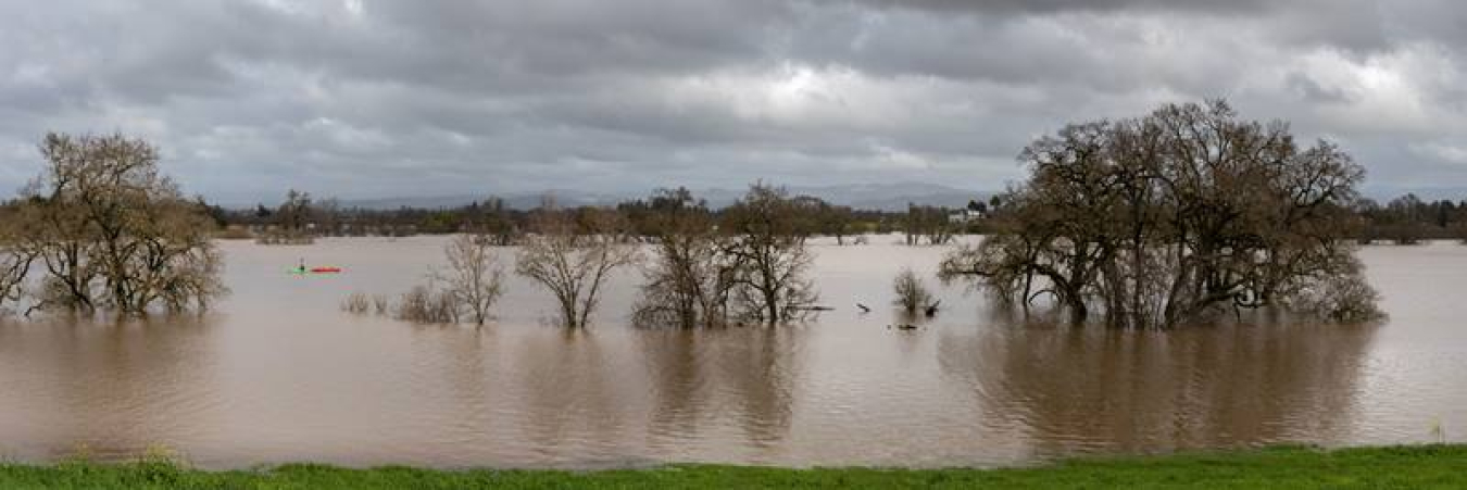 Panorama of Flooding of the Laguna de Santa Rosa near Sebastopol, CA, USA. New research helps explains increased rainfall in the U.S. Pacific Northwest.