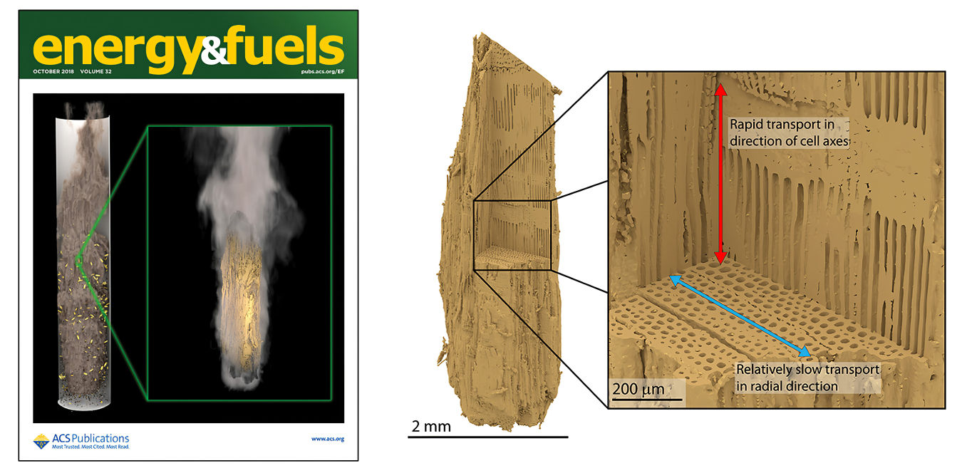 Depiction of coupled particle-scale and reactor-scale simulations for fast pyrolysis of biomass, adapted from Pecha et al. and featured on the cover of ACS Energy & Fuels.  Right: X-ray computed tomography reconstruction of a biomass particle, revealing highly directional porosity, which dictates intra-particle transport phenomena. Adapted from Ciesielski et al.