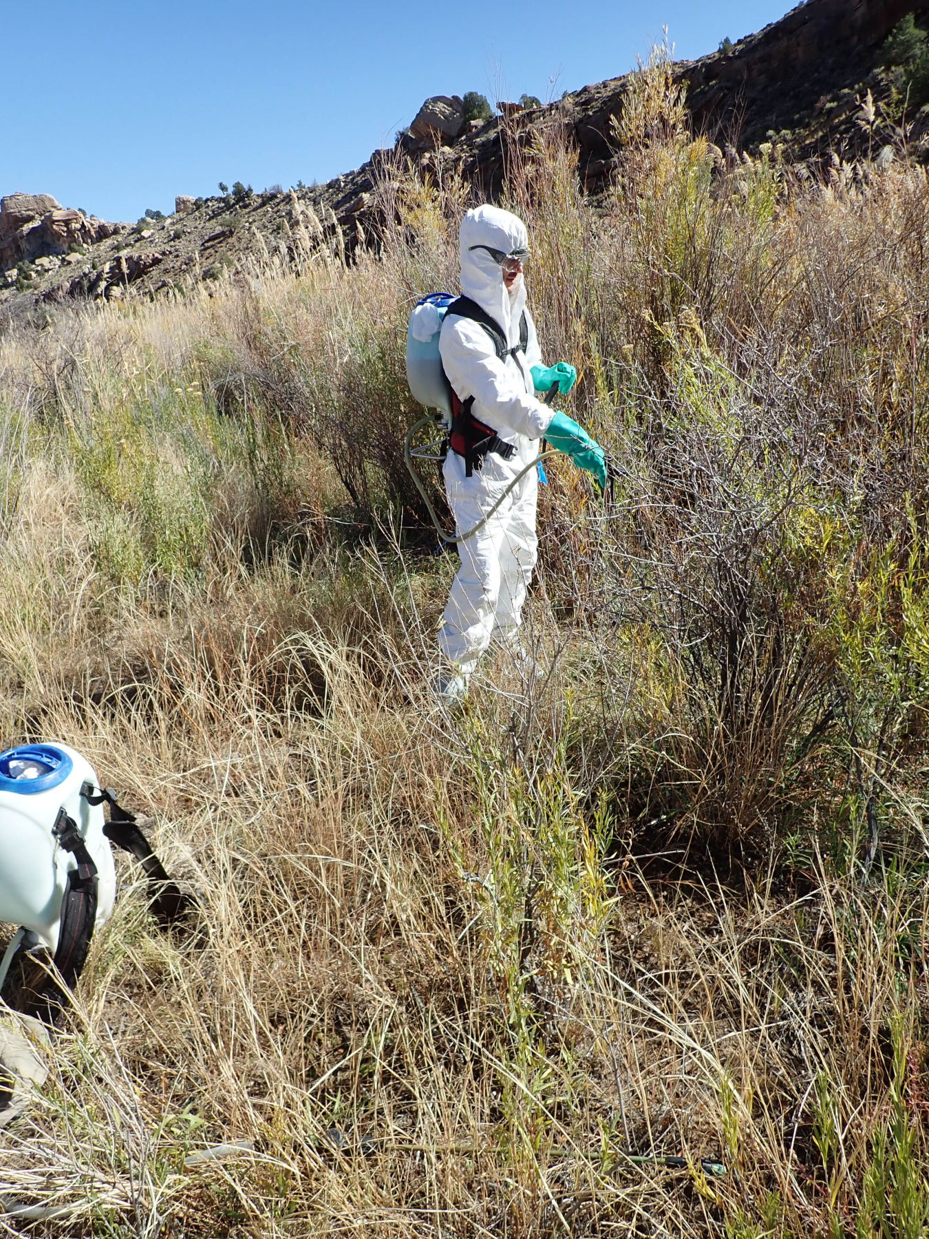 Southwest Conservation Corps Photo at Dolores River 01