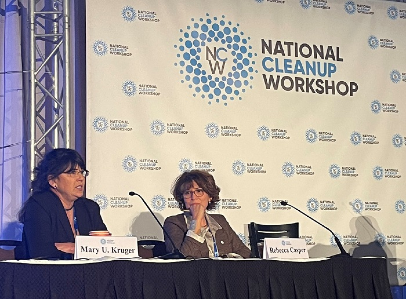 Mary Kruger, EM’s deputy assistant secretary for resource management, at left, and Rebecca Casper, mayor of Idaho Falls, served on the "Future of the EM Workforce" panel at the 2021 National Cleanup Workshop. 