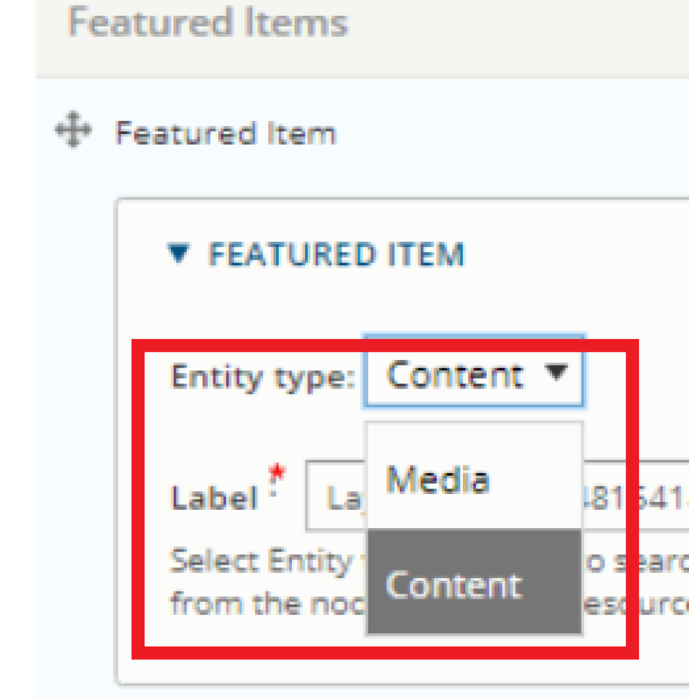 Screenshot of the Entity type field in the edit tab of a homepage in the Energy.gov CMS