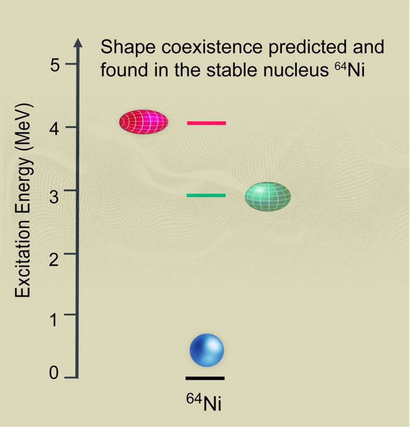 The evolution of the nuclear shape in stable Nickel-64 as predicted by large-scale nuclear model calculations. Now, new research has confirmed these three nuclear shapes.