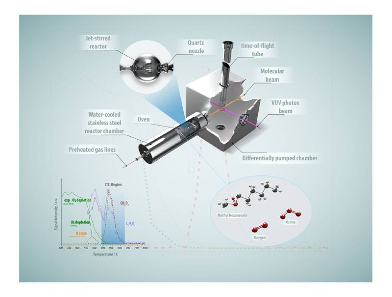 This research used molecular-beam mass spectrometry with synchrotron-generated, vacuum-ultraviolet radiation to identify extreme low-temperature combustion from the addition of ozone to methyl hexanoate and oxygen.