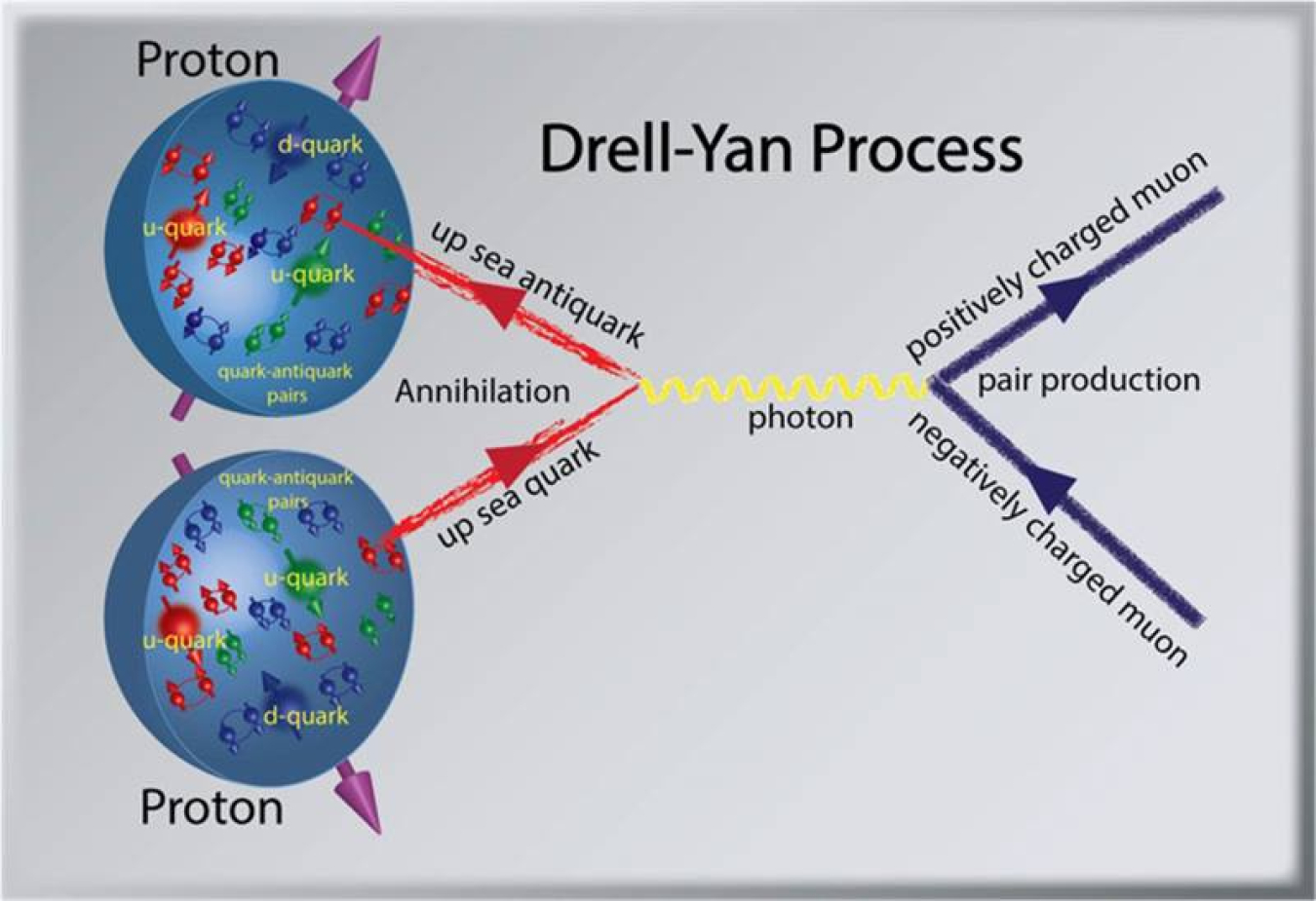 A proton contains three more quarks than antiquarks (large dots) and a sea containing an equal number of quarks and of antiquarks (small dots). When two protons collide, a quark and antiquark may annihilate to create a single photon that decays to a pair of muons.