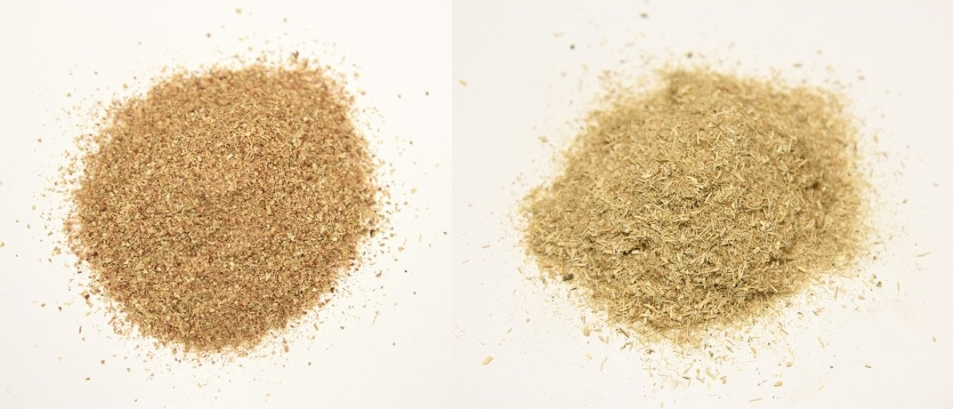 Samples of corn stover (left) and switchgrass (right).