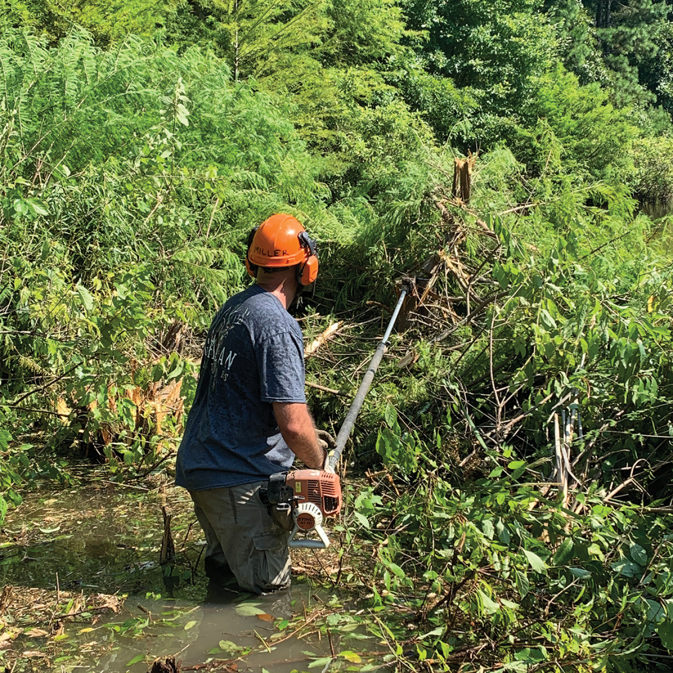 Guy ROW Trimming