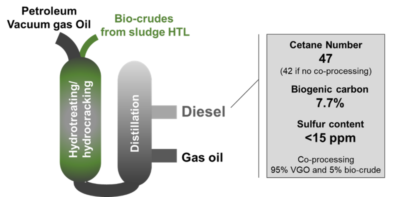 Co-processing biocrudes with petroleum in a hydrotreater produces biogenic, carbon-containing diesel with a higher cetane number. The higher cetane number is an indicator of the combustion speed or quality of diesel fuel. 