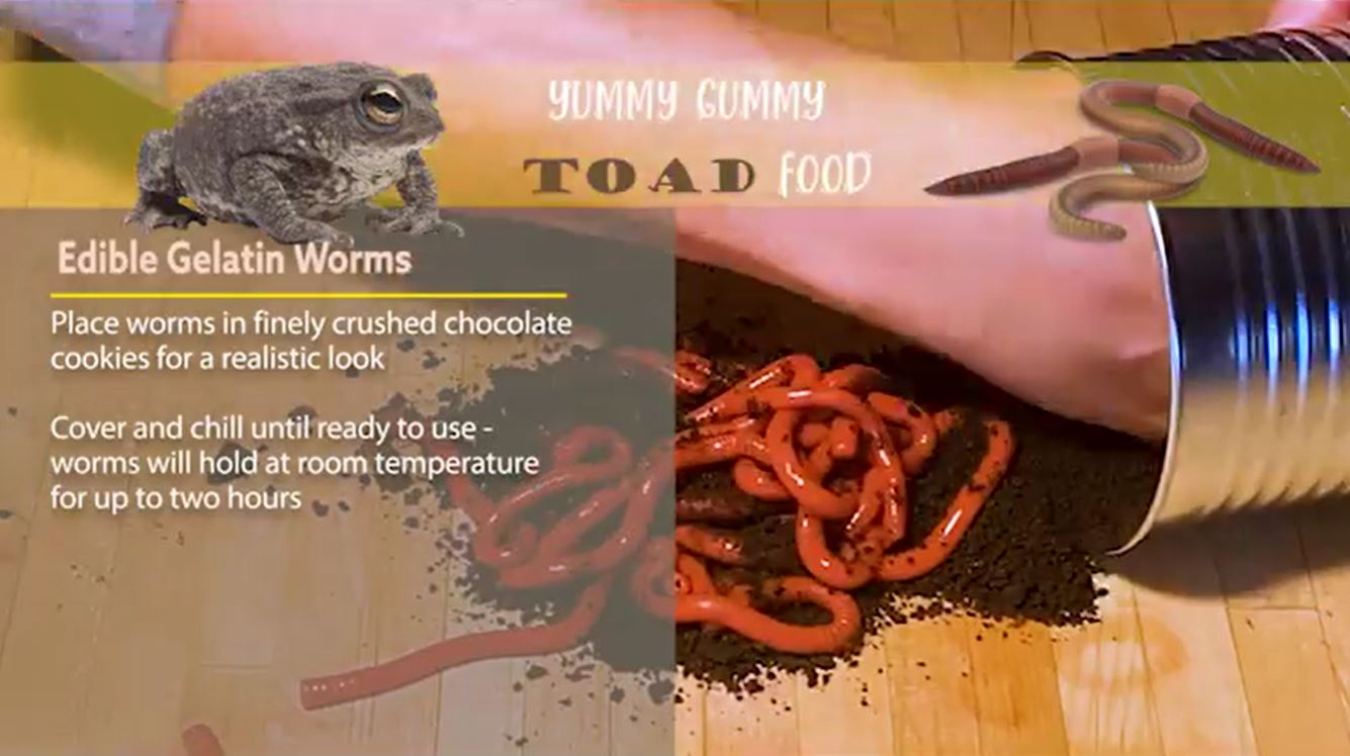 Toad Food Recipe