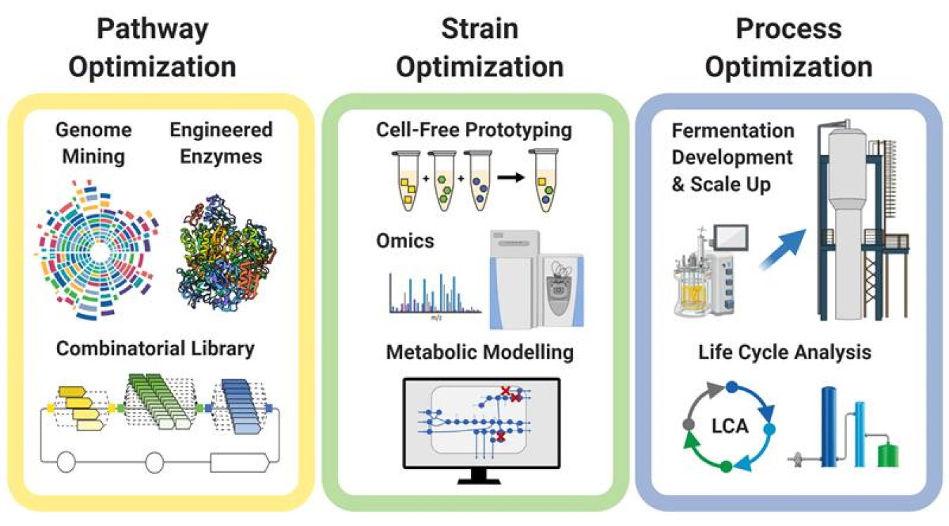 Schematic representation of the interdisciplinary approach used to develop a novel carbon-negative route for producing the commodity chemicals acetone and isopropanol, providing a blueprint for accelerated development of new biological processes.