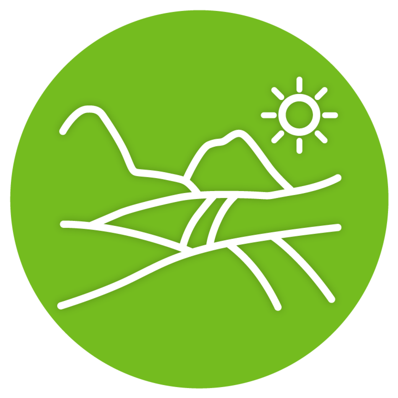 roadmap icon